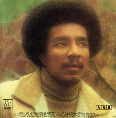 Smokey & the Miracles Robinson - Quiet Storm