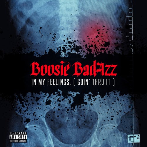 Boosie Badazz - In My Feelings (Goin' Thru It)