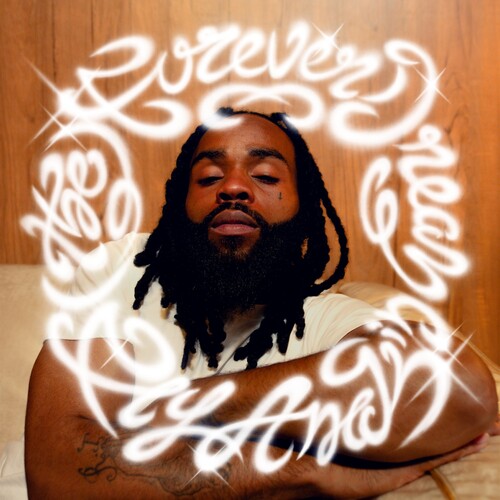 Fly Anakin - The Forever Dream