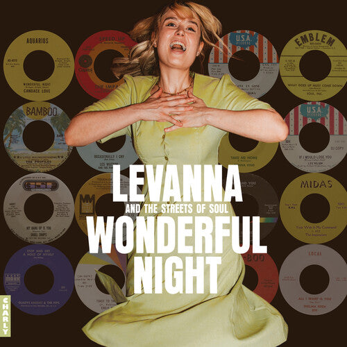 Wonderful Night Curated by Levanna / Various - Wonderful Night Curated By Levanna